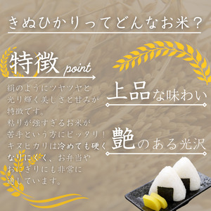 産地直送 米 こめ ご飯 ごはん  / 和歌山県産 キヌヒカリ 10kg(2024年産) 【sml100A】