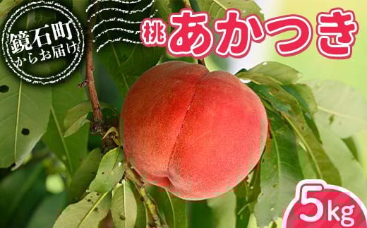
            桃 あかつき 5kg （18玉～25玉） もも フルーツ 果物 F6Q-298
          