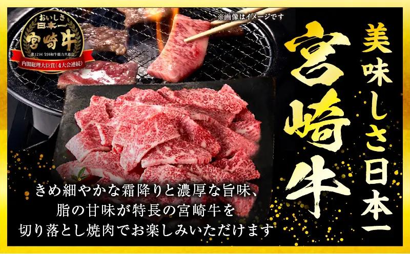 宮崎牛 切落し焼肉1kg（500g×2）_b0986_my_x1