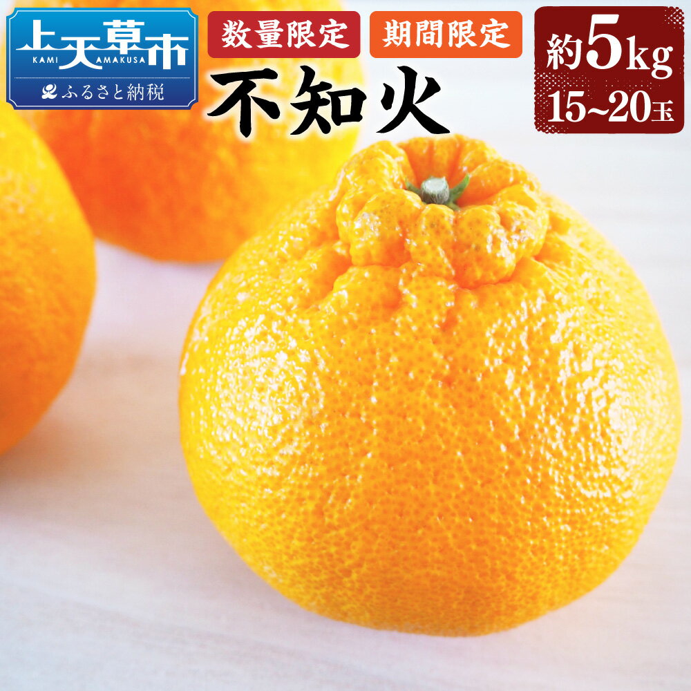 【ふるさと納税】【先行受付】【数量限定】不知火 約5kg 15～20玉前後 しらぬい みかん ミカン 蜜柑 柑橘 フルーツ 果物 くだもの 上天草市産 熊本県産 九州産 国産 送料無料 【2026年2月下旬から3月下旬順次発送】