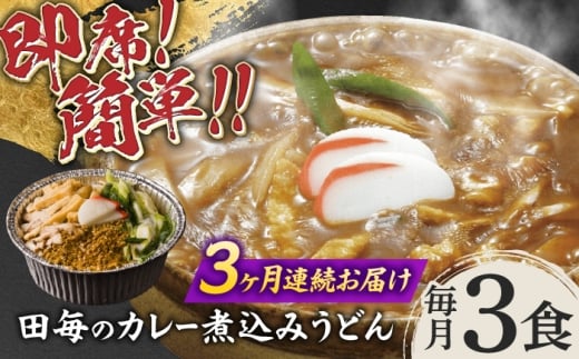 【3回定期便】うどん 岐阜の味 田毎のカレー煮込みうどんセット 即席 カンタン 麺 うどん カレーうどん  カレー カレーライス 煮込みうどん 冷凍 定期便 スパイス 具材付き 簡単調理 時短 鍋不要 水不要 老舗の味 名店 グルメ お取り寄せ ギフト プレゼント 贈り物 贈答 お返し 内祝い お祝い おすすめ 人気 岐阜市 / ラボレムス [ANFP006]