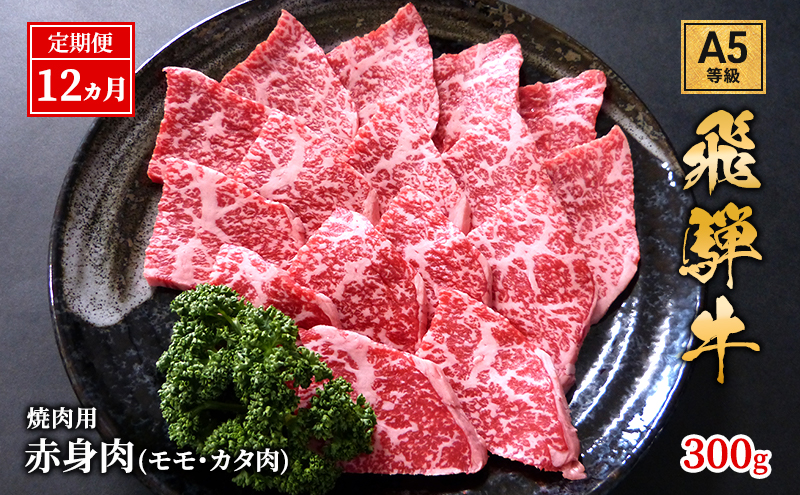 【定期便12ヶ月】牛肉 飛騨牛 焼き肉 セット 赤身 モモ 又は カタ 300g 黒毛和牛 Ａ5 美味しい お肉 牛 肉 和牛 焼肉 BBQ バーベキュー 【岐阜県池田町】