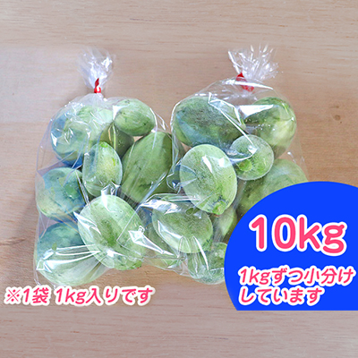 北海道 富良野市 摘果メロン 10kg ≪1kg×10袋≫ お漬物用 2026年 春夏発送 (中山農園)
