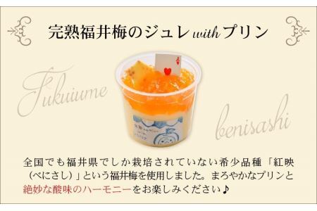 福井を味わう♪ 貴族プリン 6個セット[A-066002]