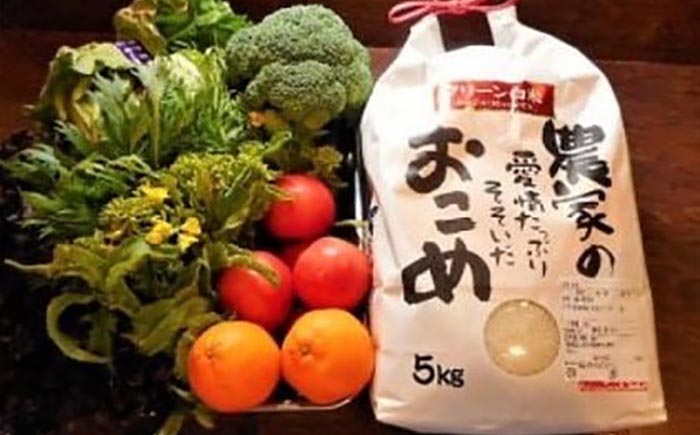 【シェフの目線】栽培期間中農薬不使用！旬のお野菜セット+クリーン白米【ふるさと納税限定】愛媛県大洲市/有限会社ヒロファミリーフーズ [AGBX009]サラダ カレー トマト 料理 ブロッコリー きゅうり キャベツ 健康 とうもろこし 果物 和食 スープ ミニトマト おこめ コメ