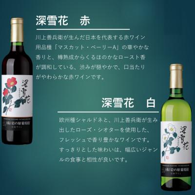 ふるさと納税 上越市 日本ワインの歴史を味わう岩の原ワインセット(赤白2本、冊子1冊) |  | 02