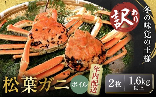 【先行予約】【訳アリ】松葉ガニ（ボイル）2枚（計1.6kg以上）【年内配送】【訳あり 松葉がに 松葉蟹 ズワイガニ 蟹 カニ かに 国産 人気 おすすめ 鳥取県 琴浦町 送料無料】