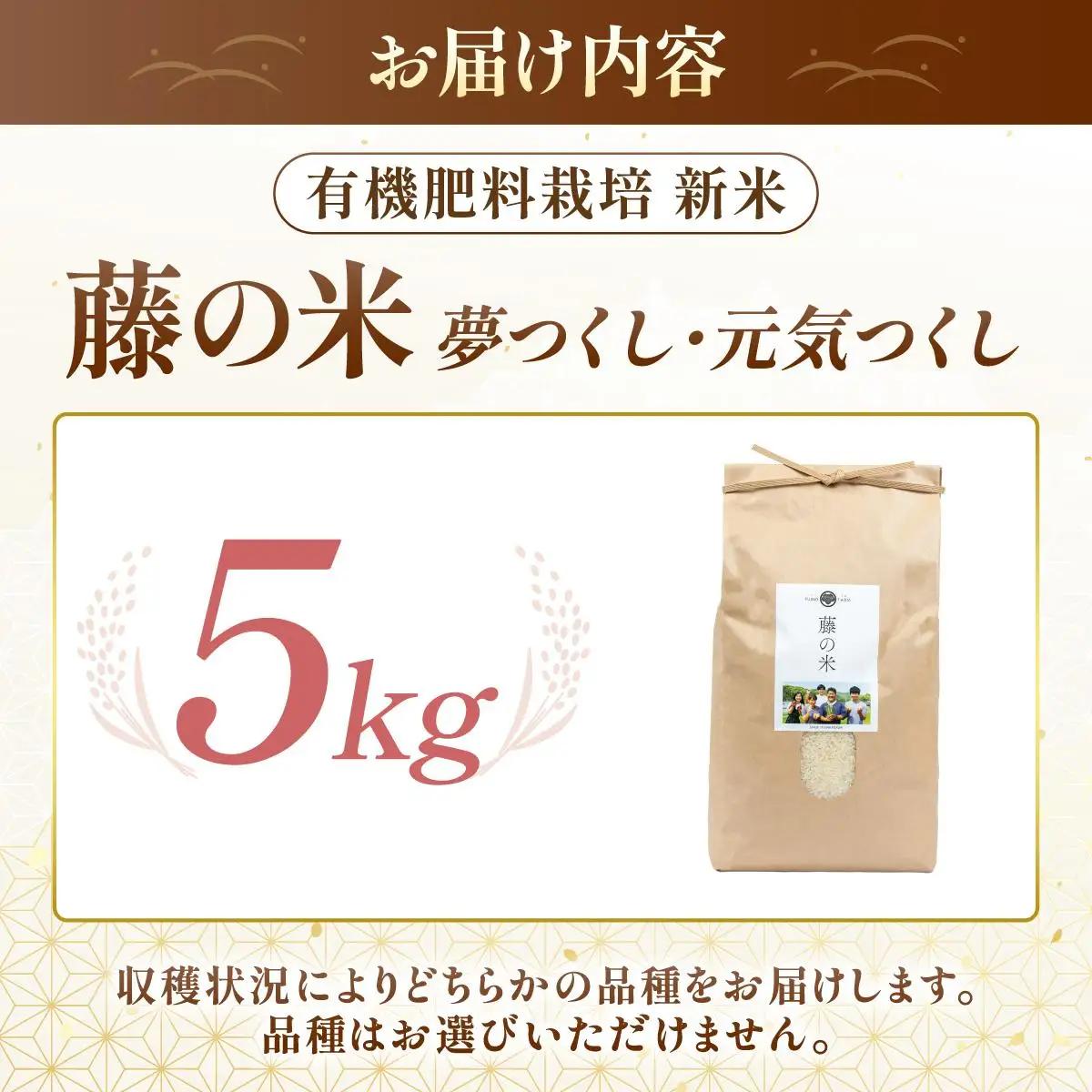  【令和7年度産】藤の米(ふじのまい) 5kg【フジノ農園】