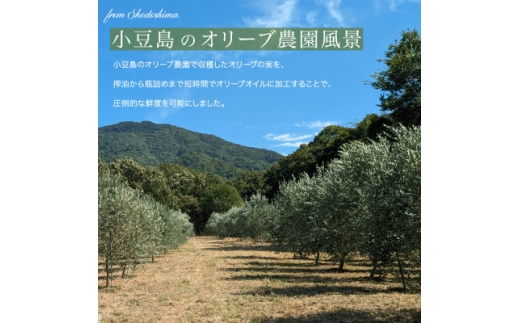 小豆島産100%「純」エキストラバージン(EXV)オリーブオイル　120ml(単品)4本【1775927】