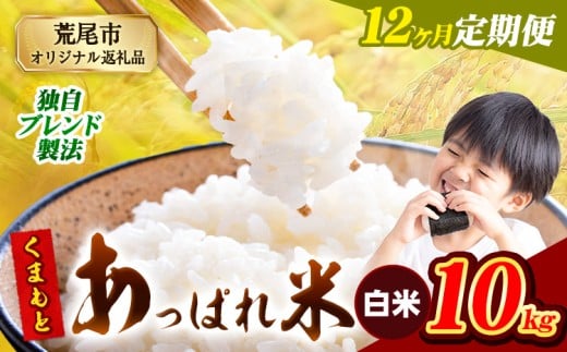 【12ヶ月定期便】熊本県産 くまもとあっぱれ米 ブレンド米 10kg 熊本県産 ふるさと納税 白米 精米 米 こめ ふるさとのうぜい コメ お米 おこめ《1月から出荷開始》