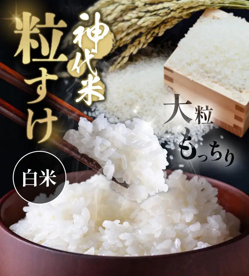 【3ヶ月定期便】米 白米 神代米 粒すけ ぜん兵衛。