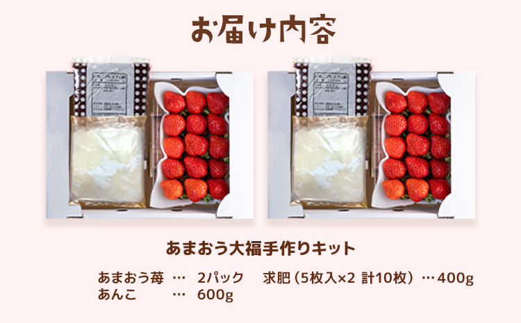あまおう大福 手作りキット（2セット） 大福 和菓子 セット【2025年1月～4月にかけて順次出荷予定】餡子 あん お菓子 手作り 苺 いちご 大木町 池上農園 BD03