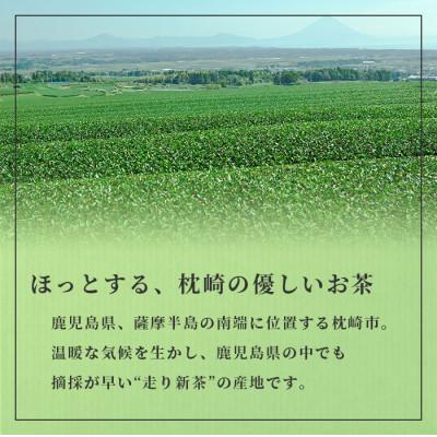 ふるさと納税 枕崎市 【父の日】「天然玉露あさつゆ」緑茶ティーバッグ(5g×25P)×6袋 A8-86F |  | 03