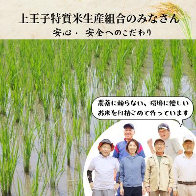 ふるさと納税 小松島市 【令和7年産新米】コシヒカリ 米 10kg 栽培期間中化学肥料・農薬不使用米 |  | 03