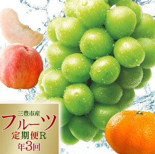 【ふるさと納税】フルーツ王国みとよの特選こだわり3品定期便
