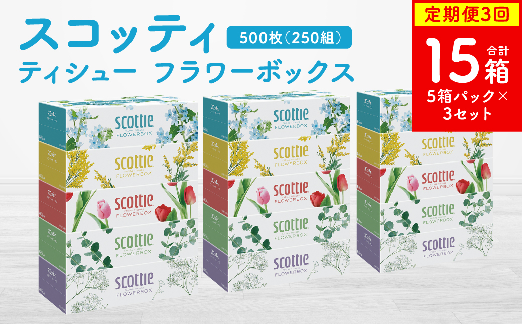 【定期便3回】【毎月お届け】【スコッティ】ティシュー フラワーボックス 250組 5箱パック×3セット 合計15箱 ティッシュ 日用品 生活必需品 消耗品 紙 まとめ買い 備蓄 防災備蓄 ストック