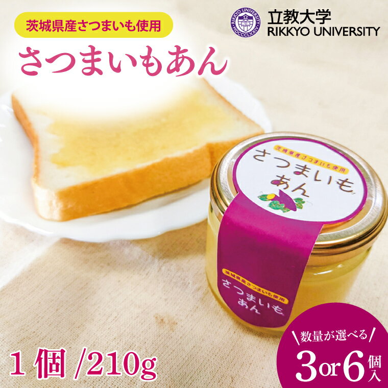 【ふるさと納税】【選べる個数】さつまいもあん｜GN-1/GN-2