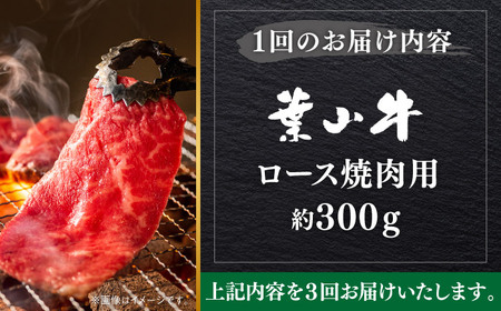 【全3回定期便】【葉山牛】300g　ロース焼肉用 ／ 牛肉 黒毛和牛 神奈川県 特産品【葉山牛ステーキレストラン 角車】[ASBD051]