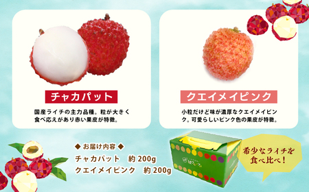 【数量限定】希少 国産 綾生ライチ 2種食べ比べセット/ 宮崎県 綾町産 ライチ 国産ライチ 生ライチ 果物 フルーツ ライチ 産地直送 お中元