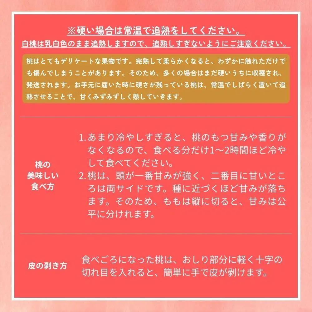 ＜数量限定＞［なんばふぁーむ］岡山県産 旬の桃 3.0kg（9～13玉）[ギフト用]【2026年発送】 039-a005