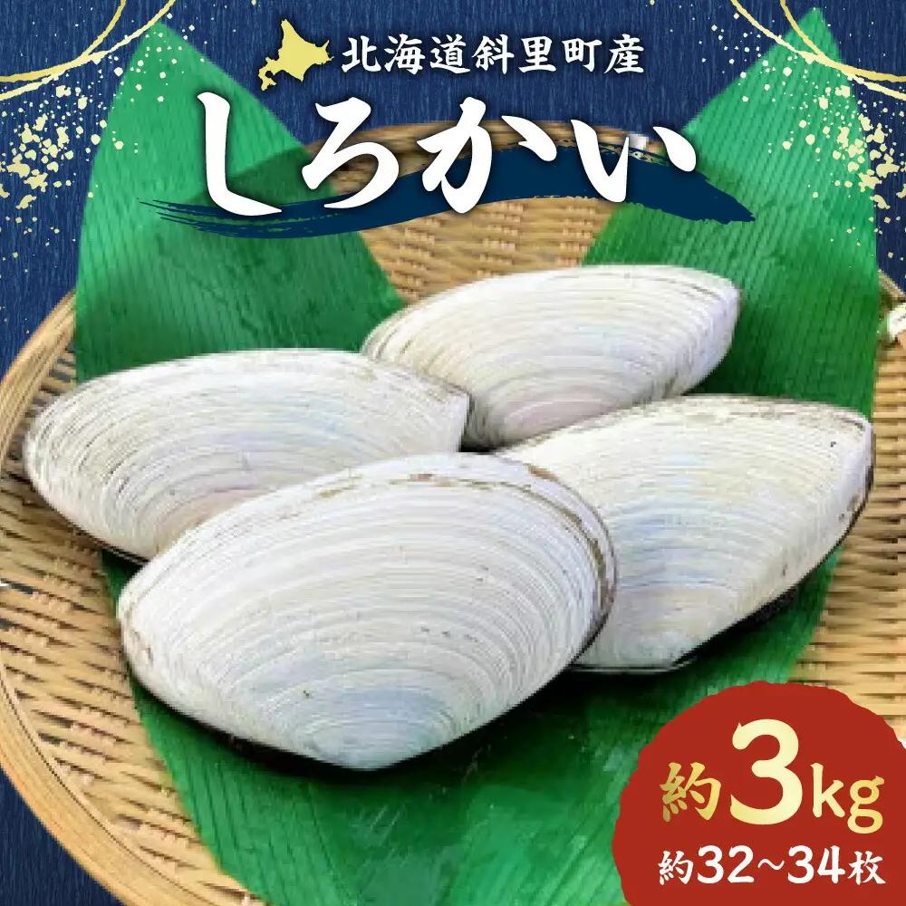 【先行受付】知床斜里産　しろかい(約32～34枚)約3kg  貝 
