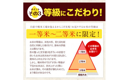 令和5年産 【3ヶ月定期便】 ひのひかり 10kg (5kg×2袋) 計3回お届け 無洗米 熊本県産 単一原料米 ひの 熊本県 山江村《お申し込み月の翌月から出荷開始》