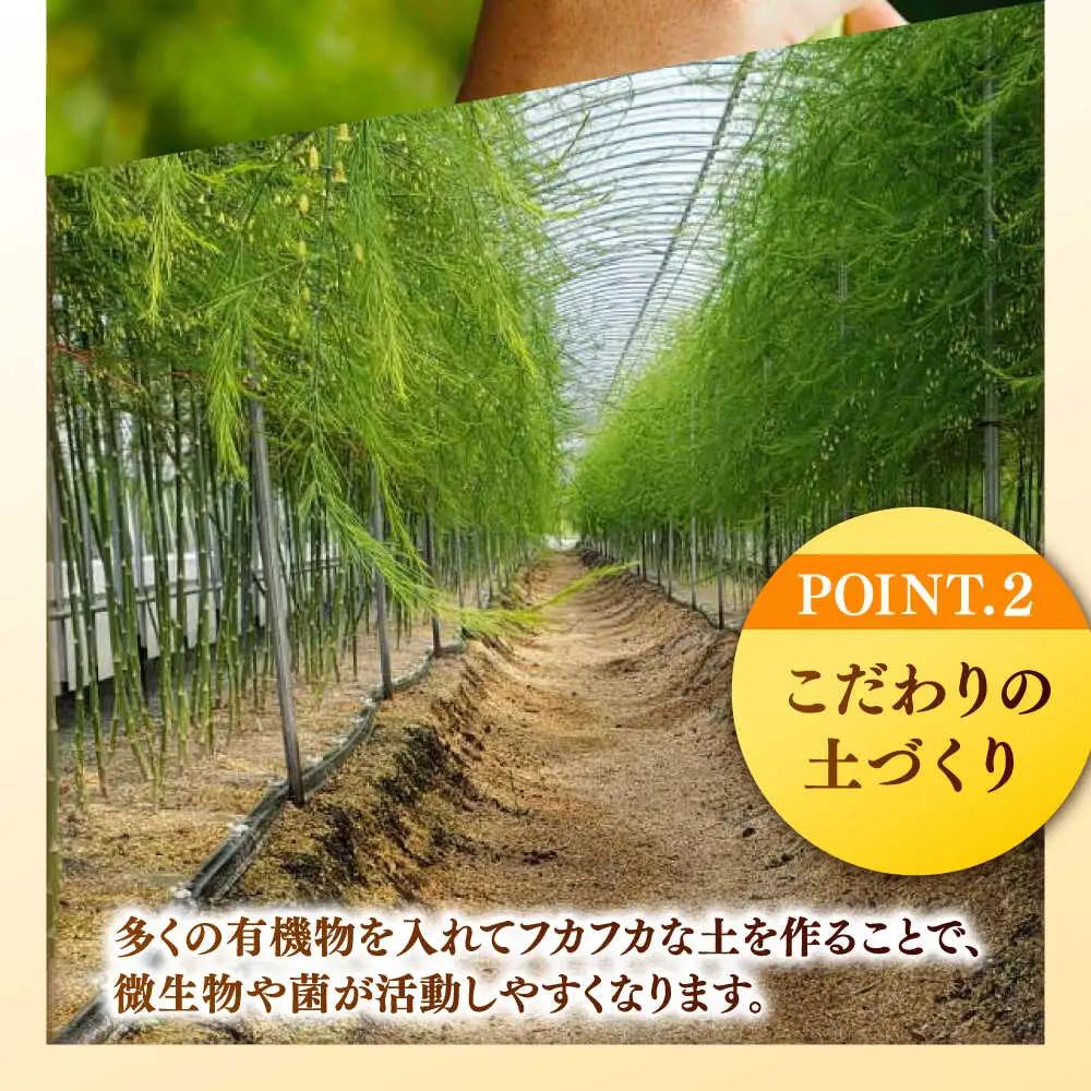 【先行予約 2027年3月～発送】春芽アスパラガス 約1kg / アスパラ [ICW001]