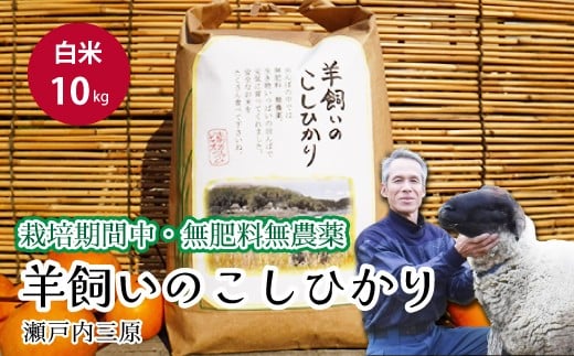 【栽培期間中・無肥料無農薬】瀬戸内三原 羊飼いのこしひかり 白米 10kg 瀬戸内ビオファーム お米 こめ ご飯 002013