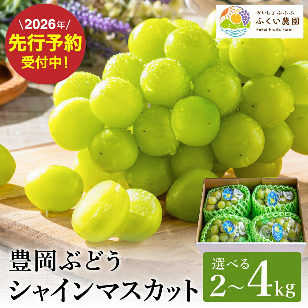 【ふるさと納税】シャインマスカット 大粒 豊岡ぶどう 約2kg（3～4房入/箱）選べる1箱・2箱 / 減農薬 豊岡ブドウ 糖度が高い 濃厚 甘味 上品な香り 歯切れの良い 皮ごと 食べられる シャイン マスカット ぶどう ブドウ 葡萄 果物 産地直送 フルーツ ふくい農園