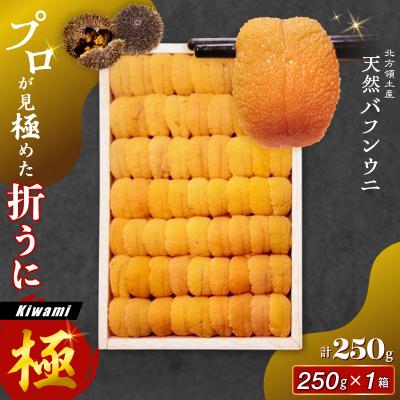 ふるさと納税 浜中町 ≪プロ厳選≫最高級折うに(極)計250g_H0014-118