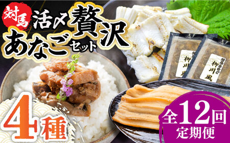 【全12回定期便】対馬産 あなご 贅沢 セット 《対馬市》【対馬地域商社】九州 長崎 煮あなご 佃煮 アナゴ  九州 長崎 [WAC023]冷凍 新鮮 あなご 穴子 柳川風 下処理 寿司 あなご重 天ぷら おかず もう1品 おつまみ おにぎり ちらし寿司 海鮮 魚介 長崎 対馬 定期便 毎月届く