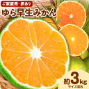 【ふるさと納税】【先行予約】和歌山由良町産 ゆら早生みかん 訳あり ご家庭用 約 3kg サイズ混合 ライスショップスマイル 《10月上旬-11月下旬頃出荷》 和歌山県 日高川町 早生みかん 由良 由良みかん みかん ミカン 蜜柑 柑橘 フルーツ 訳アリ ご家庭用 キズ