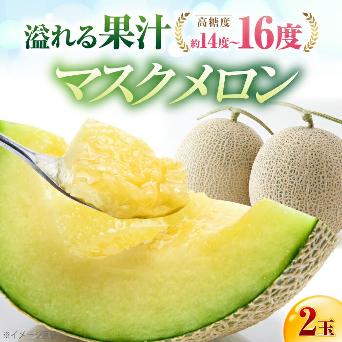 【ふるさと納税】【先行予約】 高知市 春野町産 マスクメロン 2玉 (約2.8kg～約3.4kg 箱重量込み) 〈2026年9月10日〜2026年9月15日発送〉 【片山農園】 [ATCI002]