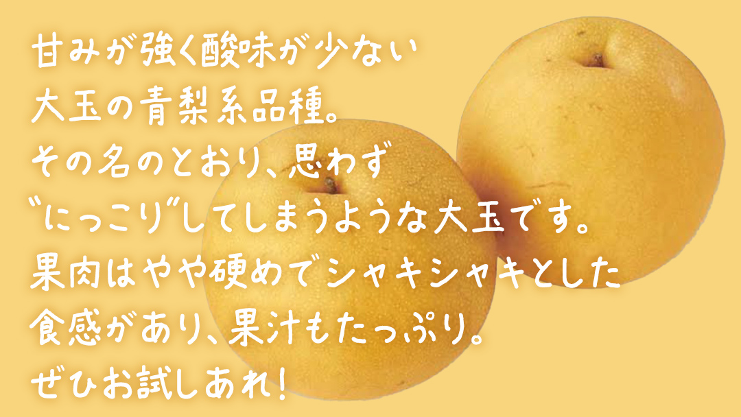 にっこり梨 約5kg (10～12玉)【2025年10月上旬発送開始】(茨城県共通返礼品：大子町) 梨 なし 果物 くだもの フルーツ にっこり