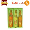 【ふるさと納税】 オレンジジュース 三姉妹 530ml 3本セット 合計1.59リットル 吉田果樹園 ジュース みかんジュース あいかちゃん このかちゃん はるかちゃん 温州みかん 不知火 はるか 国産 九州産 熊本産 柑橘 果物 送料無料