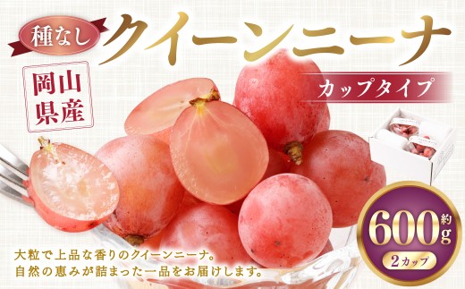 《種なし》 岡山県産 クイーンニーナ 手軽なカップタイプ 約300g × 2カップ 計約600g 【2026年8月下旬-9月下旬発送予定】 ／ ぶどう ブドウ 葡萄 大粒 種なし 種無し フルーツ 果物 くだもの 果実 カップ入り カップ お手軽
