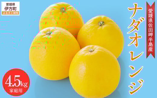 【先行予約】【農家直送】愛媛県産 ナダオレンジ 家庭用 4.5kg（2025年5月中旬より順次発送予定） 【 ふるさと納税 人気 おすすめ ランキング 柑橘 蜜柑 みかん ミカン 果物 フルーツ 河内晩柑 ナダオレンジ オレンジ 家庭用 愛媛県 伊方町 送料無料 】 IKTC006