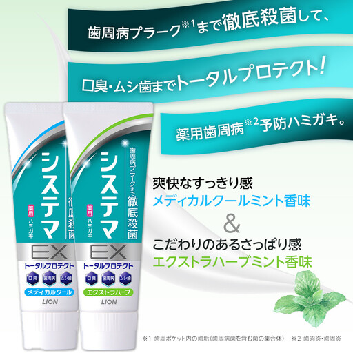 【寄附額見直しました！】LION ハミガキ NONIO×システマ使い比べセット ｜ 日用品 ふるさと納税 歯磨き粉 歯磨き粉