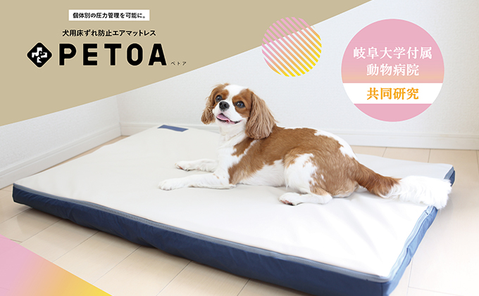 【ペット用品 犬】犬用床ずれ防止エアマット PETOA-ペトア- (大型犬用) ベージュ 活動的なワンちゃん向け | 動物 家族 高齢化 医療介護 本格的 低反発 安心 安全 ※離島への配送不可