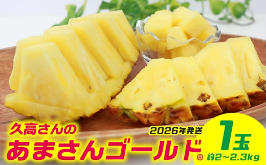 久高さんのあまさんゴールド 1玉（約2～2.3kg） 2026年発送 沖縄県産 東村 パイナップル ジューシー 希少 高級フルーツ 南国フルーツ 国産フルーツ 農家直送 パイン 果物 贈り物 おすすめ お土産 人気 やんばる 大自然 南国気分 沖縄本島北部　ゴールドバレル　バレル　ゴールド