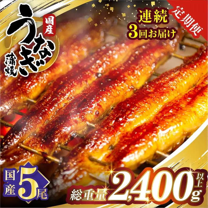 【3回連続定期便】うなぎ蒲焼5尾(さんしょう・たれ付き)総重量2400g以上 鰻 魚 魚介 加工品 国産_T026-0036-R