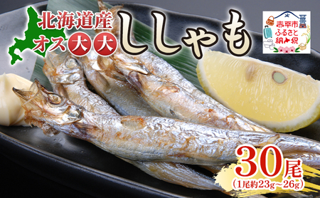 ししゃも魚貝類オス大大干物北海道産ししゃも【30尾】