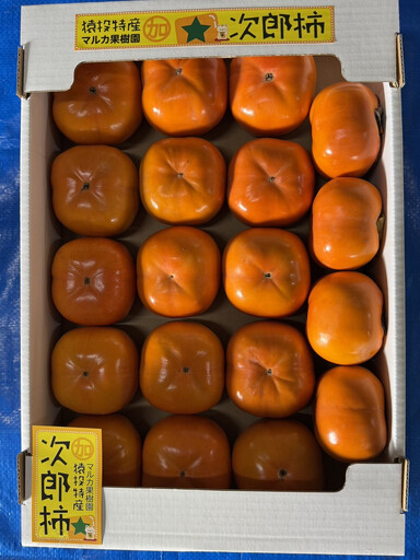 ＜先行受付＞次郎柿　約4kg【2026年11月上旬以降順次発送】