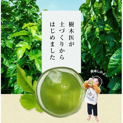 ふるさと納税 合志市 樹木医が育てた桑の葉茶(粉末)50g×2袋 |  | 01