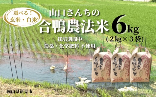 
                  玄米白米を選べる！山口さんちの合鴨農法米 6kg (2kg×3袋)【令和7年産】
                