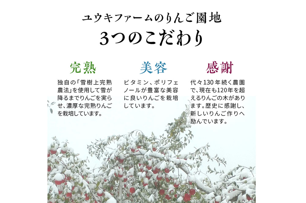 【25年12月発送】りんご 【 数量限定 】雪完熟りんご 最高等級 蜜入り 糖度13度以上 「特選」 サンふじ 約 3kg 9個入り