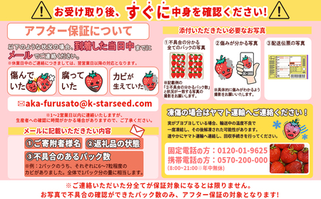 福岡県産 あまおう 約1500g前後（約250g×6）1月～3月発送 3KC3