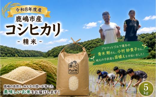 こしひかり 5kg 先行予約 新米 単一原料米 令和8年度 米 白米 こめ 精米 国産 産地直送 おすすめ お米 kosihikari 5キロ 美味しい ふっくら つややか ご飯 ごはん rice kome okome 甘み 粘り 豊かな香り 地域の想い 自慢 苗植え 田谷沼 鹿っこfarm ふるさと納税 茨城県 鹿嶋市 【2026年10月以降発送】 