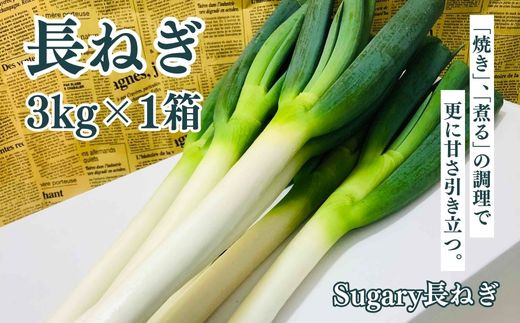 
                  Sugary長ねぎ3kg×1箱 SMY002 千葉県 山武市
                