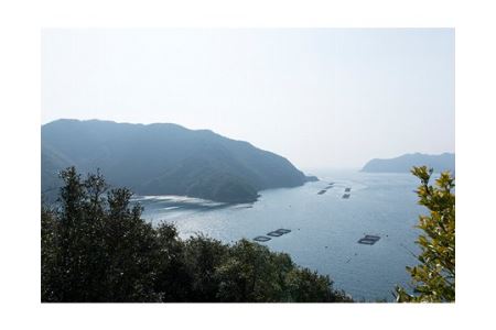 【冷凍】いにしえの牛肉　ロースしゃぶしゃぶ（CAS凍結）約500g ／特産　ブランド牛　希少　三重県